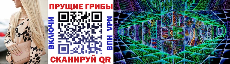Псилоцибиновые грибы Cubensis  Светлогорск 
