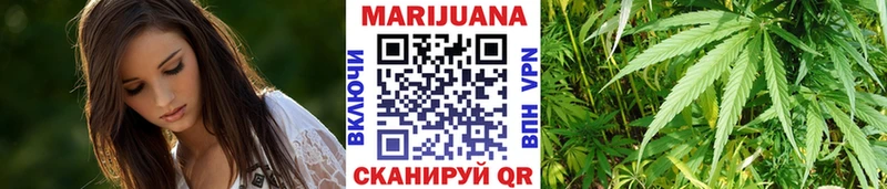 Канабис планчик  где продают наркотики  Светлогорск 
